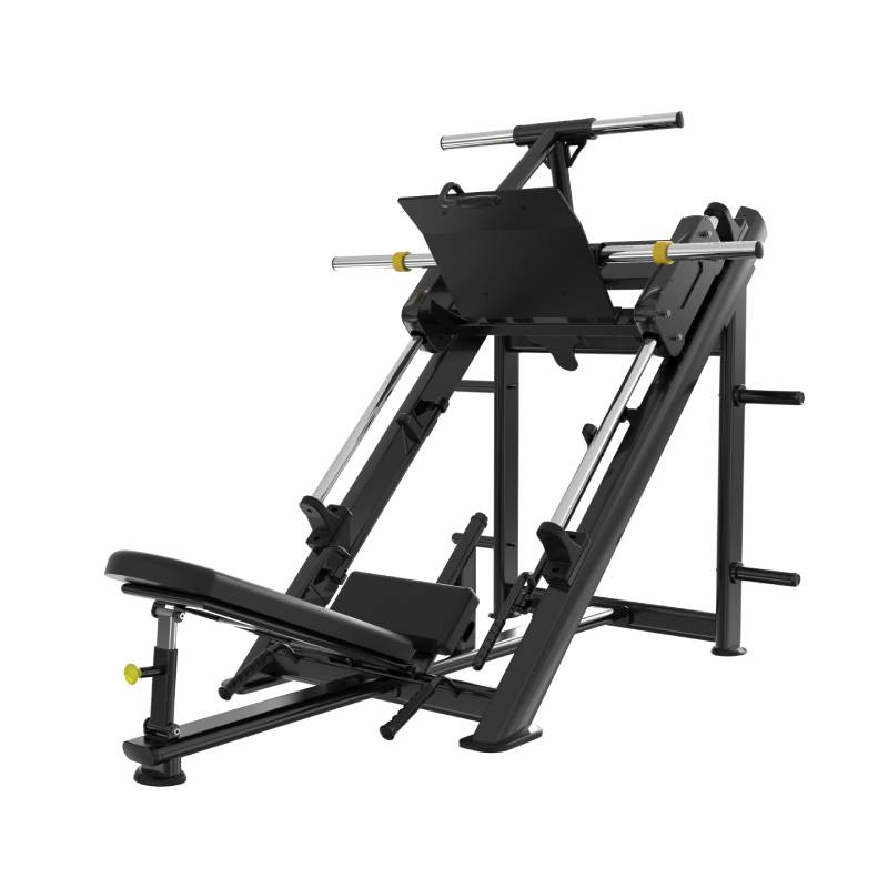 Leg Press And Squat 