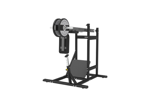 PL 38 PENDULAM SQUAT