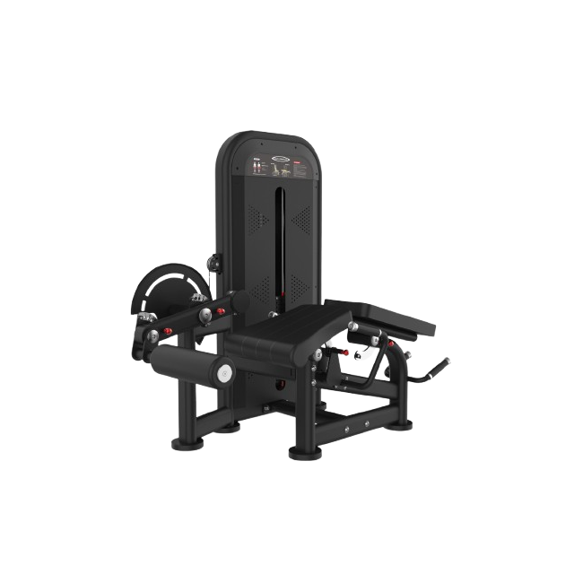 SP 005 LEG EXTENSION / PRONE LEG CURL