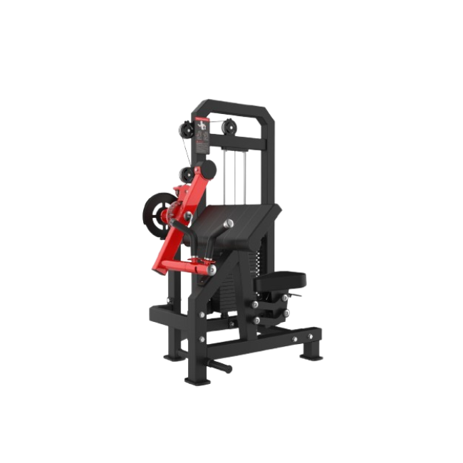 L 115A BICEPS / TRICEPS