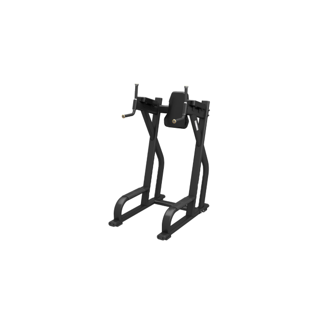 PL 47 VERTICAL KNEE RAISE