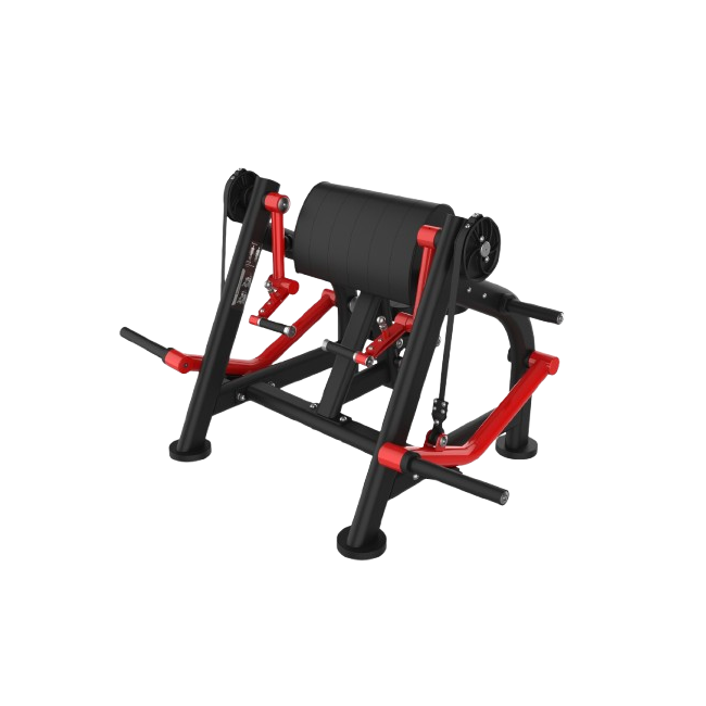 HMPL 20 BICEP TRAINER