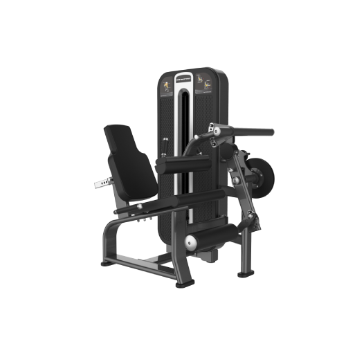 J 684 LEG CURL / LEG EXTENSION