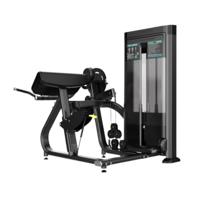 IR 07 BICEPS/ TRICEPS