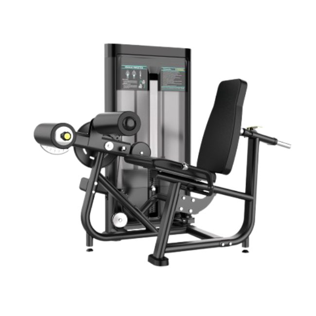 IR 05 LEG CURL / LEG EXTENSION