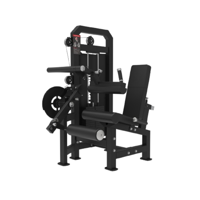 NL 112 LEG CURL / EXTENSION
