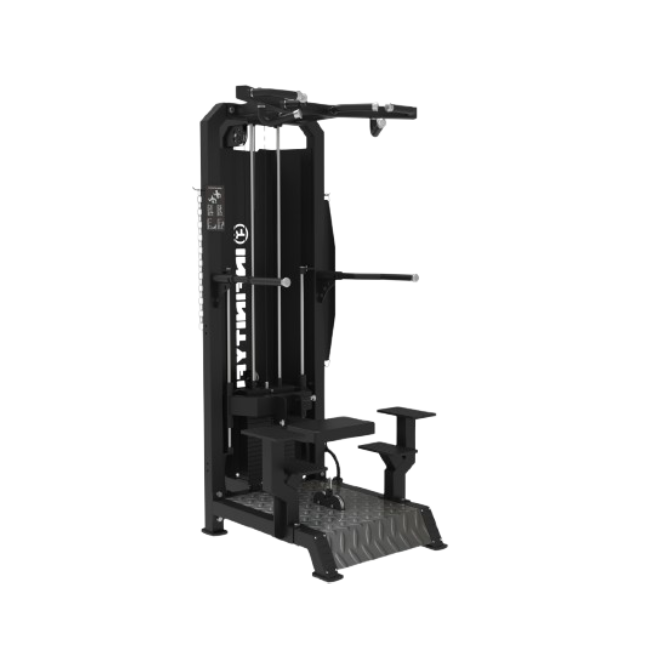 NL 113 ASSISTED CHIN UP / DIP