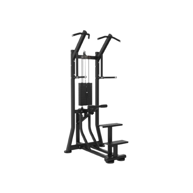 SP 010 ASSISTED CHIN UP / DIP