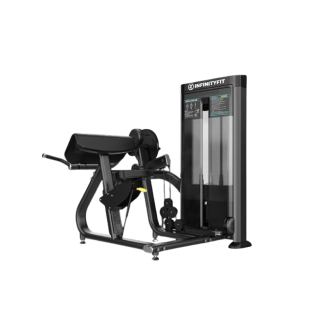 IR 07 BICEPS/ TRICEPS