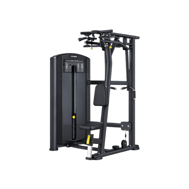 U 02 PEC FLY  REAR DELTOID